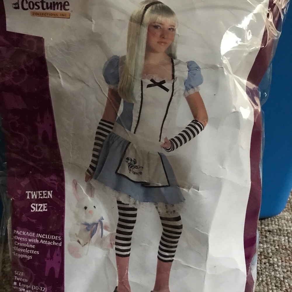 Tweens Alice in Wonderland costume